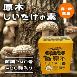 ؂̑f ۋ240400 ytEHz Ƃł̂ Ă R͔| ő VC^P ^