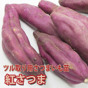 �y�\��E�����z��� �c �c�����p ���܂��� �|�b�g�c �ׂɂ��� �x�j�T�c�} 9cm�|�b�g�c �T�c�}�C�� �₳�� �ƒ�؉��y4���㔼��菇�������z