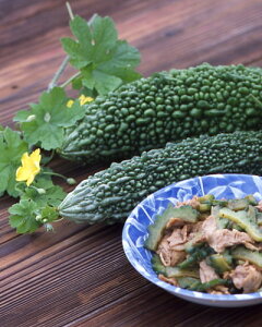 ゴーヤ 苗の人気商品 通販 価格比較 価格 Com