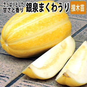苗 マクワウリの人気商品 通販 価格比較 価格 Com 苗 マクワウリの人気商品 通販 価格比較 価格 Com