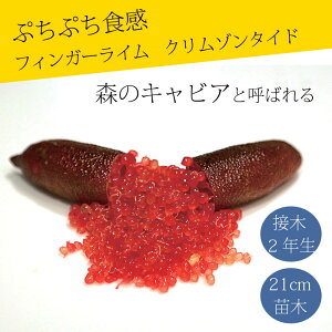 tBK[C c N]^Ch 21cm k kc ƌ ږ LrAC tBK[CWp 2Nc 