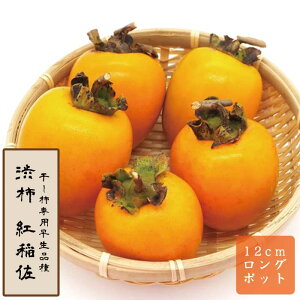 a` c giׂɂȂj ʎ c ږ c 12cmO|bg   ƒ͔| JL  `