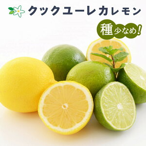  c NbN[J 15cm|bg ږ k kc lemon ƌ 