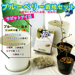 苗 ブルーベリー 栽培 セットの人気商品 通販 価格比較 価格 Com
