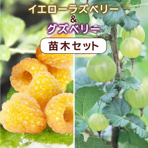 CG[Yx[  OYx[ c Zbg 12cm|bg yCG[Yx[1|bgƃOYx[1|bg̍v2|bgz  ʎ ʎ ʎc A