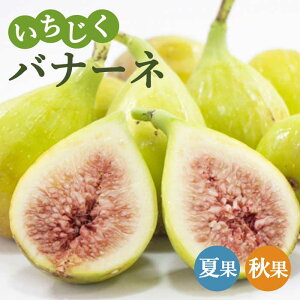 C`WN  oi[l 15cm|bg ԉ ʎ c  ʕ ĉ H 2Nc