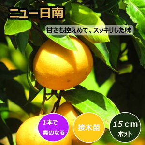 ݂ c j[ 15cm|bg ږ c o^i ƌ ɑ B ~J k ʎ | ƒ؉ K[fjO 