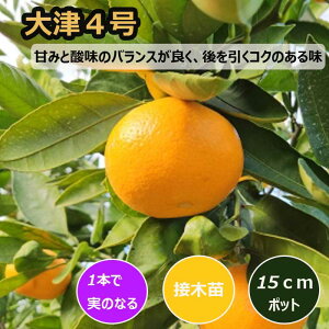 ݂ c 4 15cm|bg ږ c o^i ƌ Ӑ B ~J k ʎ | ƒ؉ K[fjO 