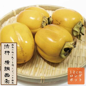 a` c ji悱ÂȂ傤j ʎ c ږ c 12cmO|bg Sa`   `