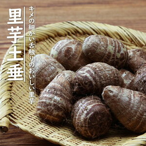 �y�\��E�����z���� �y �����Y ���Ƃ��� �y�� �i �ǂ��� �j�z �틅�� ��1kg �����p �ƒ�؉� �T�g�C�� �v�����^�[�͔| �Ԃ̑�a�y3�����{��菇�������z