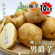 種 じゃがいも 男爵芋 ダンシャクイモ 10kg 北海道産 芋サイズ：S〜2L 種 ジャガイモ 馬鈴薯 種芋 家庭菜…
