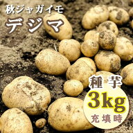 種 じゃがいも デジマ 種芋 約3kg ※大小ミックス※ 秋じゃが 秋植え 馬鈴薯 種芋 家庭菜園 花の大和