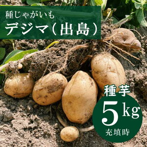  Ⴊ fW}  5kg 召~bNX HA WKC  ͔| ł o n鏒 HႪ ƒ؉ Ԃ̑a