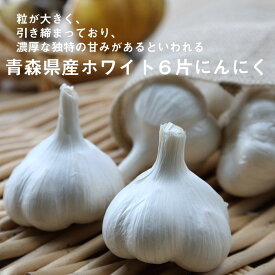 楽天市場 にんにく 花 ガーデン Diy の通販