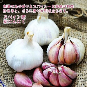 野菜 苗 紫ニンニク 3芽植え 9cmポット にんにく 大蒜 garlic