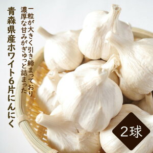 y   ɂɂ X zCg6 2 z jjN K[bN X^~i   ͔| | garlic