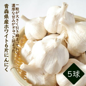 y   ɂɂ X zCg6 5 z jjN K[bN X^~i   ͔| | garlic