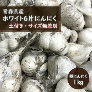 y yt   ɂɂ X n zCg6 1kg zyƍt TCYI S`LTCYyуJPЊ܂