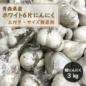 【予約・早割】【 土付き 種 球根 にんにく 青森 福地 ホワイト6片 約3kg 】土と根付き サイズ無選別 S〜Lサイズ及びカケ片含む【8月中旬より順次発送】