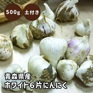 y yt   ɂɂ X n zCg6 500g zyƍt TCYI S`LTCYyуJPЊ܂