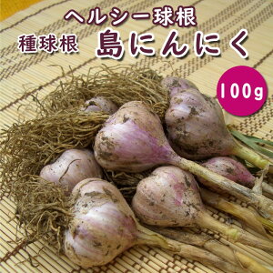 y   Y ɂɂ 100gz  jjN f ɂɂ garlic  ₳ ͔| ƒ؉ Ԃ̑a