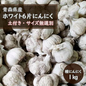 【 土付き 種 球根 にんにく 青森 福地 ホワイト6片 約1kg 】送料無料 土と根付き サイズ無選別 S〜Lサイズ及びカケ片含む