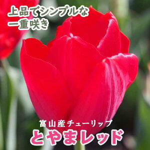 `[bv  Ƃ܃bh 3 HA xR xRY xRY Y Ԃ̑a