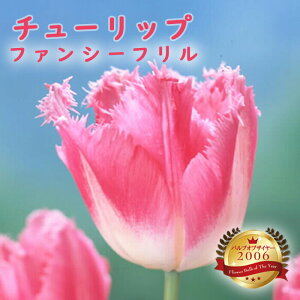 `[bv  t@V[t 3 ouIuUC[ HA Ԃ̑a