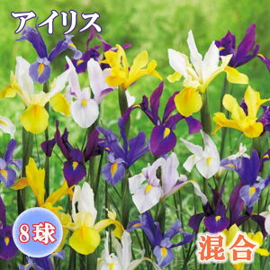 ACX  y  z8 HA 񂹐A Ԓd K[fjO | SҌ Ԃ̑a