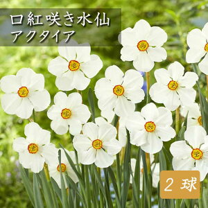 y\Ez   AN^CA 2 g炫 AN^GA XCZ HA v^[͔| 񂹐A Ԃ̑a y10㒆{菇z