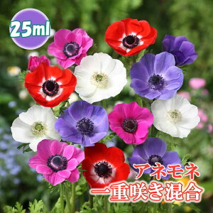 All y d炫  z  25ml ~bNX HA v^[͔| Ԓd Ԃ̑a