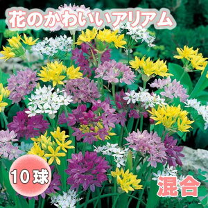 Ԃ̂킢 AA AE y  z  10 HA SҌ Ă₷ K[fjO Ԃ̑a