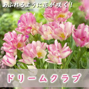 }炫 `[bv  h[Nu 3 ӂ悤ɉԂ炭 v^[͔| Ԓd 񂹐A Ԃ̑a