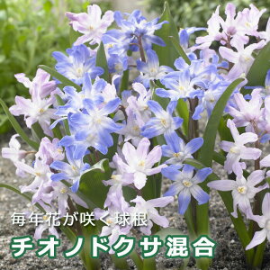 `ImhNT   12 AςȂ HA oGeB 񂹐A v^[ Ԓd K[fjO Ԃ̑a