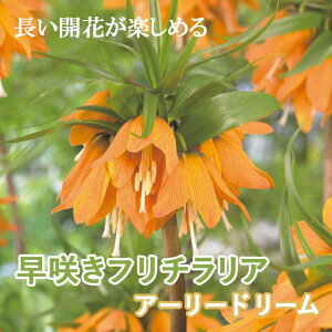 t`A A[[h[  1 炫 HA S v^[ Ԓd ̓I 񂹐A Ԃ̑a