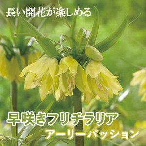 t`A A[[pbV  1 炫 HA S v^[ Ԓd ̓I 񂹐A Ԃ̑a