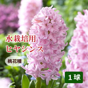 y\Ez ͔|p qVX W{ Ԏ  1 sN k͔| Ԃ̑a y10㒆{菇z