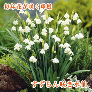 y\Ez 炫   4 Xm[t[N AςȂ HA 񂹐A v^[ Ԓd NԂ炭 Ԃ̑a y10㒆{菇z