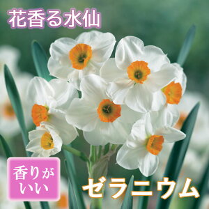 ԍ   y [jE z2 XCZ ؂Ԃɂ HA t̉ 񂹐A F Ԃ̑a