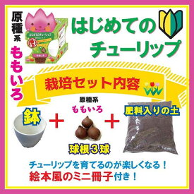 【10月上中旬より発送・早割】 はじめての チューリップ 栽培 セット 【 球根 +4号鉢+培養土+絵本風ミニ冊子】 ももいろ 桃 キット 花の大和