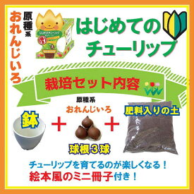【10月上中旬より発送・早割】 はじめての チューリップ 栽培 セット 【 球根 +4号鉢+培養土+絵本風ミニ冊子】 おれんじいろ 橙 キット 花の大和