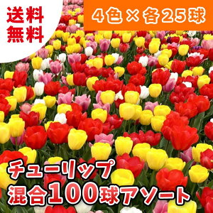 `[bv   100 y A\[gZbg z     4F × e25 lߍ킹 HA Ԃ̑a y  z