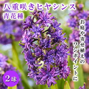 y\Ez d炫 qVX Ԏ 2 u[  F k͔| A A Ԃ̑a y10㒆{菇z