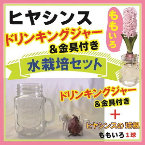 qVX ͔| Zbg hLOW[dl   sN  Lbg CeA Ϗܗp Ԃ̑a