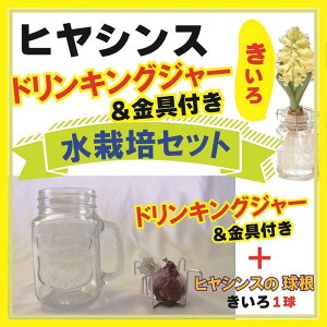 ヒヤシンス 水栽培 セット ドリンキングジャー仕様 きいろ 黄 イエロー 球根 キット インテリア 観賞用 花の大和