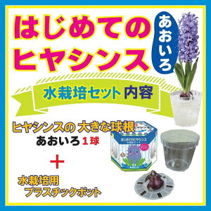 ͂߂Ă qVX ͔| Zbg y  + ͔|e z   Lbg Ԃ̑a