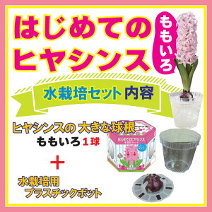 ͂߂Ă qVX ͔| Zbg y  + ͔|e z   Lbg Ԃ̑a