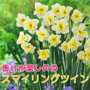 y\Ez ԍ   y X}COcC z2 XCZ ؂Ԃɂ HA t̉ 񂹐A F Ԃ̑a y10㒆{菇z