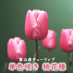 y\Ez `[bv  y  Ԏz 4 PF炫 sN HA xR xRY xRY Y Ԃ̑a y10㒆{菇z