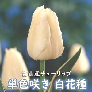 y\Ez `[bv  y  Ԏz 4 PF炫 zCg HA xR xRY xRY Y Ԃ̑a y10㒆{菇z